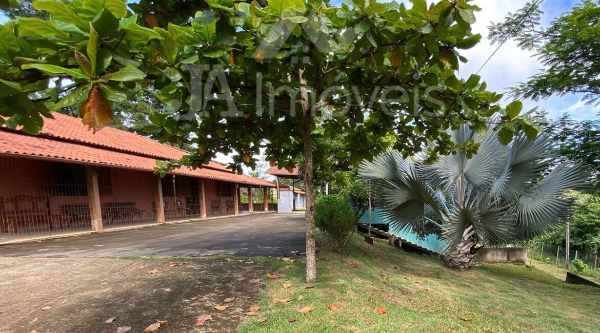 🌳Sítio à venda entre Leopoldina e Cataguases – Próximo à BR-120