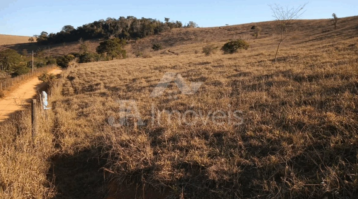 🌾Propriedade rural à venda no Distrito de Ribeiro Junqueira – Leopoldina